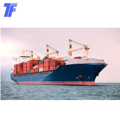 China Mixed Container LCL Sea Freight Forwarder Shipping Agent To Europe Spain TF-ES for sale