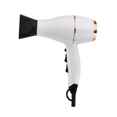 China Other 2023 AC Motor Hot Selling Professional Luxury Hair Dryer Blower Fan With Diffuser Manufacturer for sale