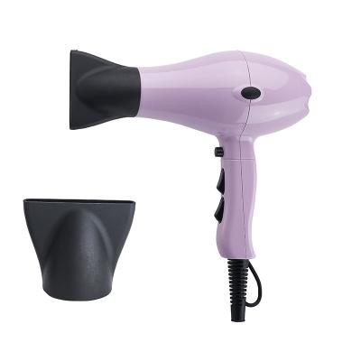 China Other Private Label Professional AC Motor Function Hair Dryer Blower Ionic Hair Dryer Manufacturer for sale