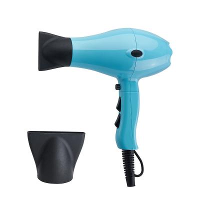 China Other Hot Selling Professional Salon AC Motor Hair Dryer With Private Label Salon Ionic Function for sale