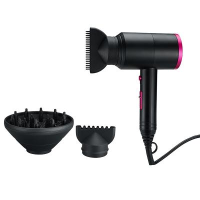 China Other 2023 Ionic Premium AC Motor Super High Speed ​​Hair Dryer With Accessories for sale