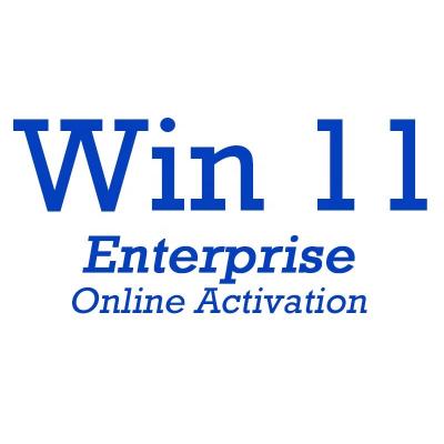 China 100% Working Globally Win 11 Enterprise Key Code 100% Online Activation Win 11 Enterprise License Send By Ali Chat Page for sale