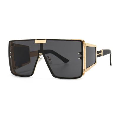 China Fashion Sparloo Sunglasses 1310 Sunglasses Fit Oversized Sunglasses Newest Steampunk 2021 for sale