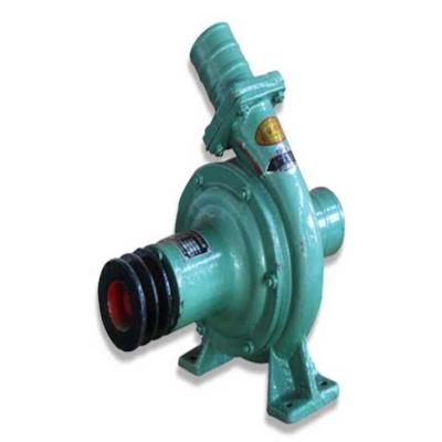 China Family Homes New Arrival Diesel Engine Acid Resistant Centrifugal Pump for sale