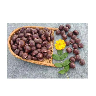 China Factory direct wholesale nutritious raw chestnut raw sweet fresh chestnut shelled fresh chestnut for sale