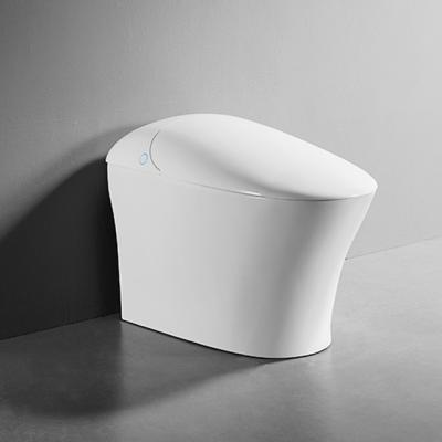 China Automatic Operation One Piece Ceramic Electric Wash Bathroom Smart WC Toilet for sale