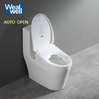 China Automatic Operation Wealwell Sanitary Ware Combination Toilet Cleaning Bidet With Automatic Flip Cover for sale