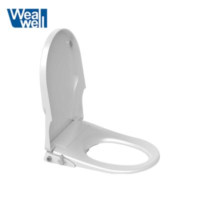 China Eco-friendly Modern Bidet Manual Non-Electric Toilet Spout Double Bidet Toilet Seat Cover for sale