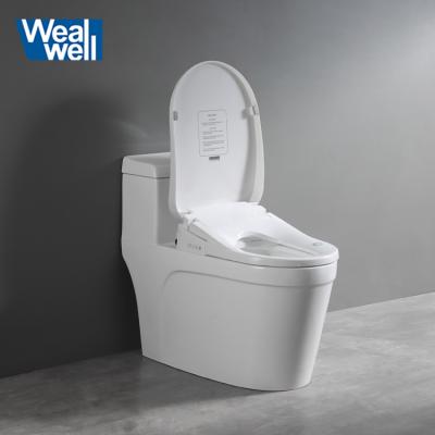 China Children's Electric Toilet Seats Wealwell Lid Bidet Rear And Front Wash Heated Smart Toilet Cover Seat for sale