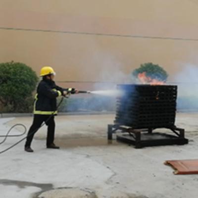 China 2020 New High Performance 10MPa Water Mist Fire Extinguisher System Water Mist Spray Fire Fighting Lance Gun for sale