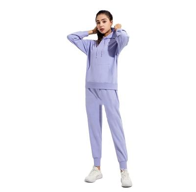 China Spring 2023 High Quality Women's Anti-pilling Apparel Sportswear Plain Hoodies And Sweatpants Sets Custom Made Breathable Tracksuits For Women for sale