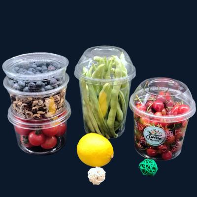 China Stocked Disposable Plastic Grocery Container For Salad, Pasta, Grocery Takeout Deals for sale