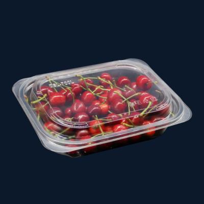 China Square Single Wall Disposable PET Container For Salad Takeaway Foods Fruit Vegetable for sale