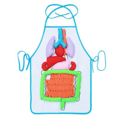 China Dropshipping Cloth Body Organ Teaching Aids Apron Wholesale Preschool Children Early Education Toys for sale