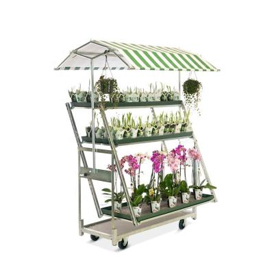 China JIAMEI Durable Convertible Metal Garden Cart Danish Cart Transport To Plants for sale