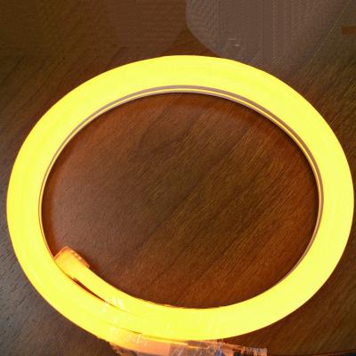 China Hot Sale 220v Mini Orange Garden Neon Christmas Lights 360 Degree LED Rope Strip Light For Decoration for sale