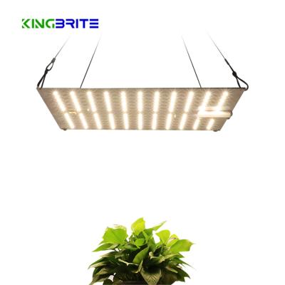 China Seed starting Kingbrite KB132 LM301H / LM301B led 65w led grow light for indoor lighting for sale