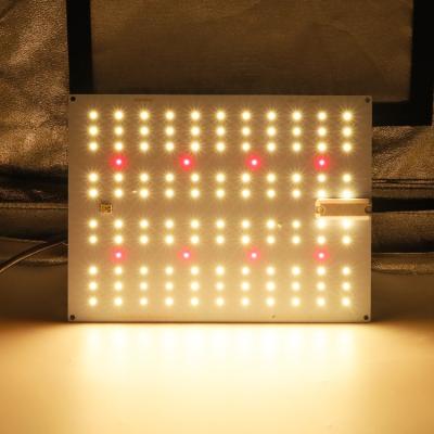 China Seed Starting Kingbrite 65W LED Panel Samsung LM301H With 660nm CREE LED For Sowing Tent 2*2FT Led Grow Light for sale