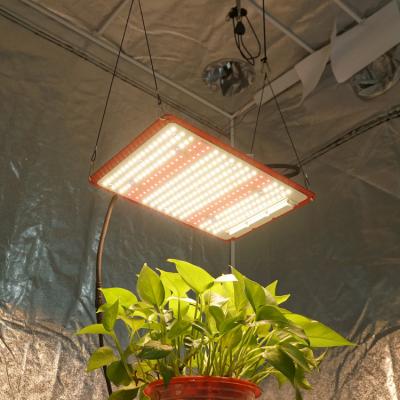 China Kingbrite IP67 120W Full Spectrum Board Samsung Lm301h Mix Epistar 660nm IR UV LED Button Dimming To Grow Light To Replace sf1000 For Indoor Plants for sale