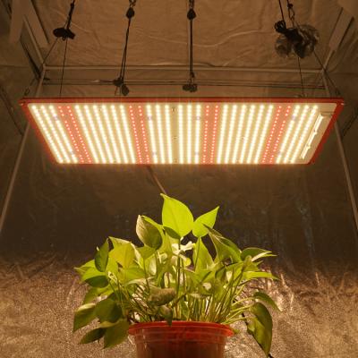 China Seed Seed Kingbrite J Series 240W Samsung lm301h Mix Epistar 660nm IR LED UV Plant Grow Light For 2x4ft Tent for sale