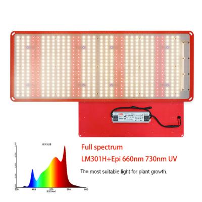 China Button Dimming King Brite 240W Samsung LM301H Plug and Play Mix Epistar 660nm Full Spectrum IR UV LED Grow Lamp IP67 Grow Light for sale