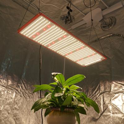 China Seed starting 240w kb288 panel v3 with Samsung lm301h with Cree XP-G3 660nm, led to grow light kit for indoor area for sale