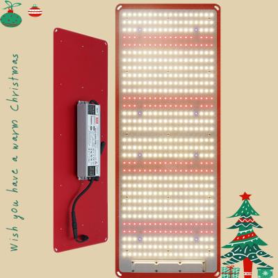 China Seed starting KingBright 240W IP67 waterproof kingbrite lm301h Epistar 660nm IR UV grow lights for indoor plants for sale