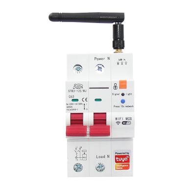 China Tuya APP Smart WiFi Circuit Breaker With Metering 2P 63A MCB Overload Short Circuit Smart Hom Reclosing Automatic Protection for sale