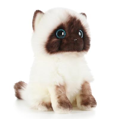 China Wholesale Super Cute Kids Toy Gift 20/26cm Factory Cat Plush Imitation Toys for sale