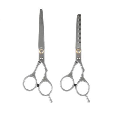 China Thinning Scissors Stainless Steel 6 Inch Professional Thinning Shears Barber Hairdressing Hair Cutting Scissors Kit for sale