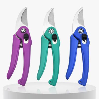 China Private Label Anti-Slip Colorful Scissors Universal Stainless Steel Handle Gardening Shears Flower Branch Fruit Dish Scissors for sale