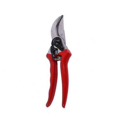 China Anti-Slip Handle Red Japanese Shears Grape Pruning Spring Scissors for sale