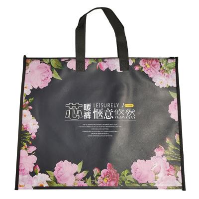 China Wholesale High Quality BIODEGRADABLE Nonwoven Bag Clothing Accessories Storage With Translucent Zipper Tote Bag for sale