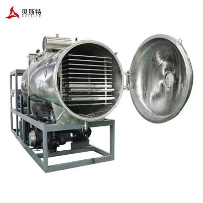 China Medicine Curing Hot Sale 2021 Lyophilization Machine Sublimation Condensation Dryer Vacuum Freeze Dryer Price Freeze Drying for sale