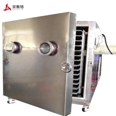 China Medicine Curing Vegetable Industrial Vacuum Freeze Dryer Freeze Dryer Freeze Vacuum For Sale for sale