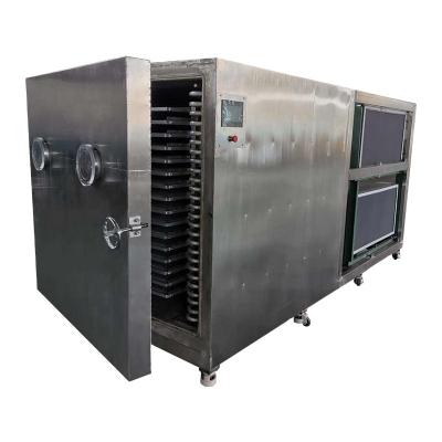 China Medicine Treating High Quality Vacuum Freeze Dryer With Good Freeze Dryer Price Food Vegetable Fruit Freeze Dryer for sale