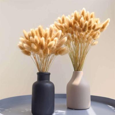 China Wedding Celebration Amazon Hit Boho Wedding Decor 45cm 60pcs Mixed Dry Pampas Grass Pompas Bunny Tail Bouquet Set Small Dry Pampas Grass for sale