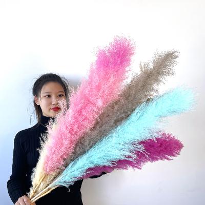 China Wholesale 90CM Brown Wedding Decoration Natural Wholesale Discount Touch Dry Flowers Large Size Dried Pampas Grass for sale