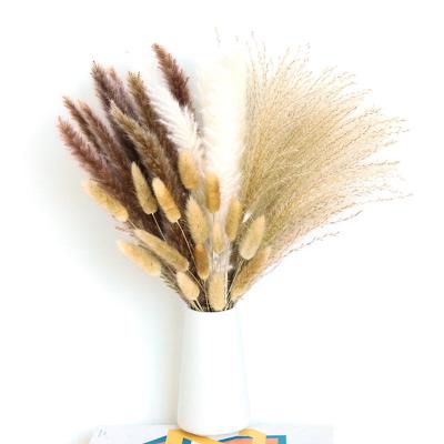 China Wedding Decoration Dried Natural Mixed Pampas Palm Leaf Flower Vase Filler Amazon Boho Pampas Grass Bouquets Bouquet for sale