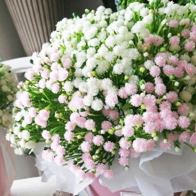 China Wedding Ceremony Artificial Flowers Babies Breath Bouquet Silk For Creative Gift Graduation Valentines Day Birthday Gift Christmas for sale