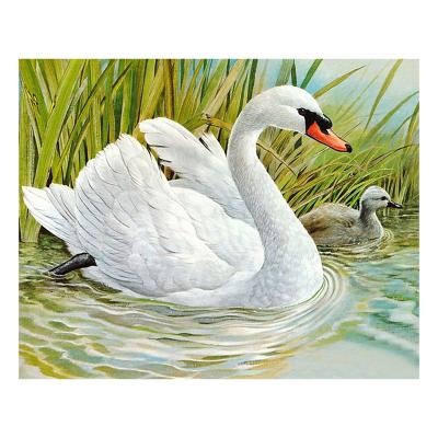 China Animal Diamond Paintings 5D Painting Modern Boy Easy To Follow Instructions Diamond Painting Beads Diamond Painting Frame Swan DIY Diamond Painting for sale