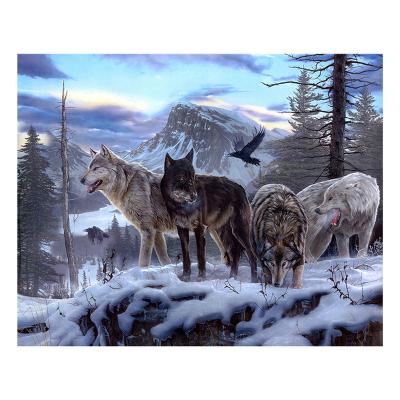 China Factory direct high quality modern wolfs the mountain starry painting of the snowy DIY living room decoration for beginner diamond painting for sale