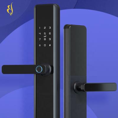 China High Security Luxury Anti Theft Smart Biometric WiFi TTLock Thumbprint Fingerprint Door Lock Smart Electronic Door Lock for sale