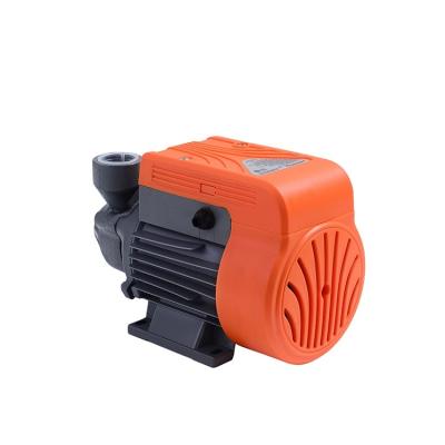 China Family Homes Factory Price Small Peripheral Electric Stratego 60 Single Stage Domestic Water Pump for sale