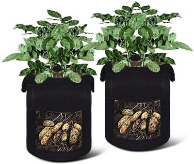 China Plant 35 Gallon Tomato Garden Easy Moving Felt Grow Bags Breathable Vegetable Planting Grow Bag With Plug for sale