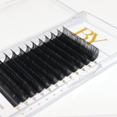 China Natural Soft Ballylashes 0.03 0.05 0.07 Mm Private Label Cashmere Volume Russian Silk Eyelash Extensions Professional Manufacturer for sale