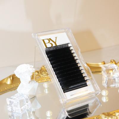 China Ballylashes Natural Eyelash Extension Arrivals Cashmere Soft Volume Lashes Different Korean Silk Eyelash Lashes for sale