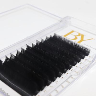 China Best Quality Ballylashes Natural Soft Hot Sales Soft Silk Volume Lashes Individual C cc D DD L LC LD M Curls Eyelash Extension for sale