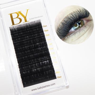 China Natural Soft Bally Lash Extensions D Volume Curl 0.07mm Tray 8-15mm Mixed Easy Volume Flaps Auto Fast Self Fanning Bloom Flower for sale