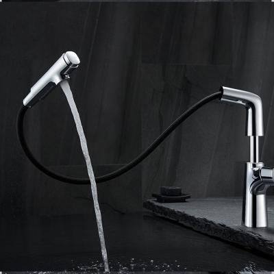 China Metered Drawable Faucets Flush Cold And Hot Water Large Adjustable Plating Single Handle Pull Out Type Spray Water Faucet for sale